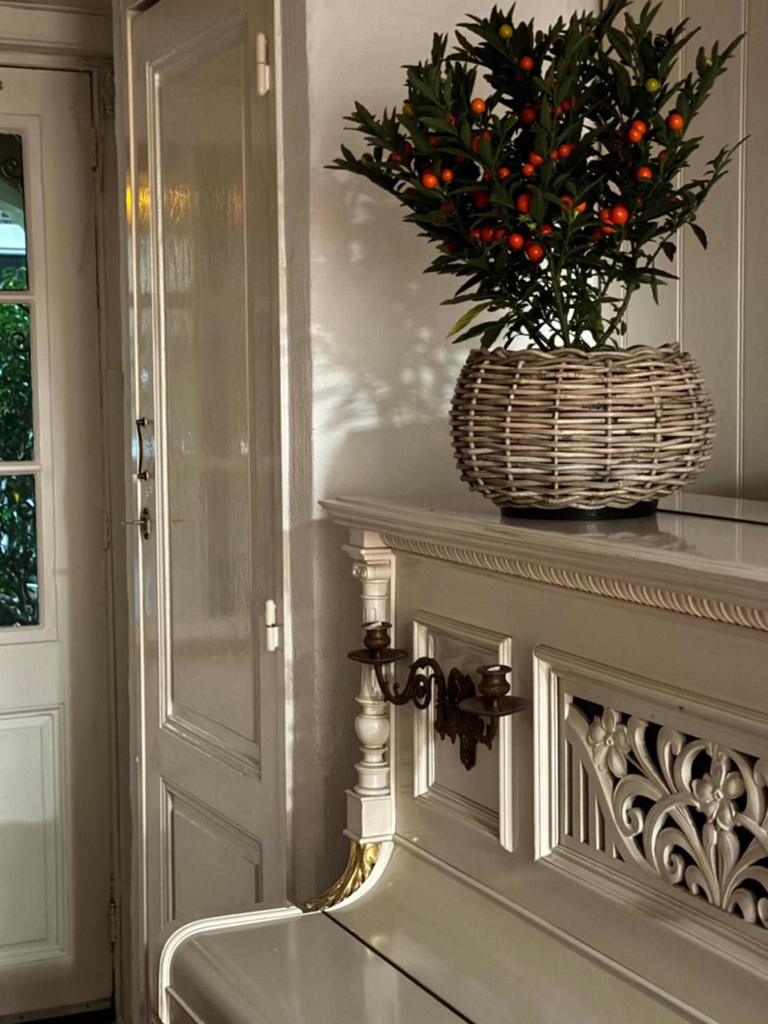 Attractive With Total Comfort - Ground Floor Apartment *